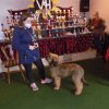 Int. Dog-Show-Winner & Grand National-Champion 2021